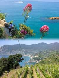 Journey Along the Beautiful Coastline: Hiking the Monterosso to Vernazza Trail