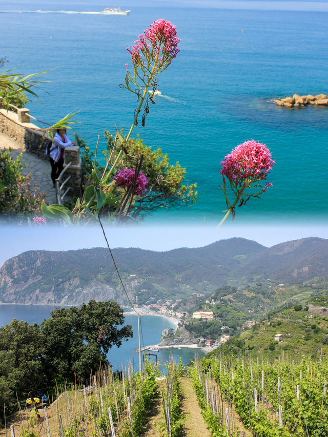 Journey Along the Beautiful Coastline: Hiking the Monterosso to Vernazza Trail