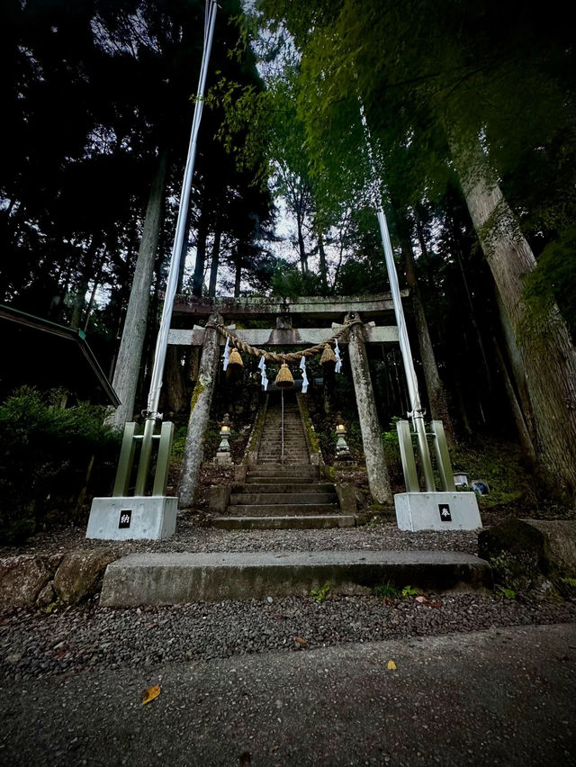 【岐阜】世界に誇る美しすぎる池✨一生に一度は観たいモネの池の透明度が異次元⚠️