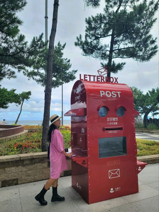 여러번와도 꼭 가야할 강릉여행 필수코스🩵