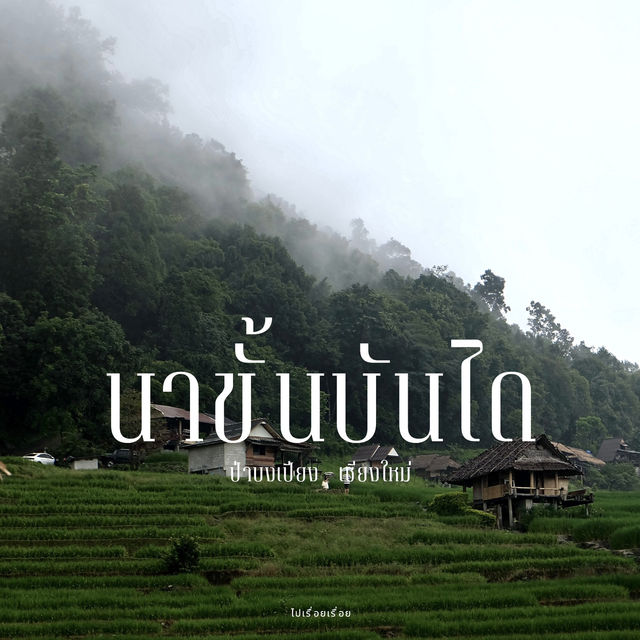 นาขั้นบันได ป่าบงเปียง - เชียงใหม่