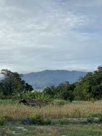 Lake Toba -世界一のカルデラ湖-