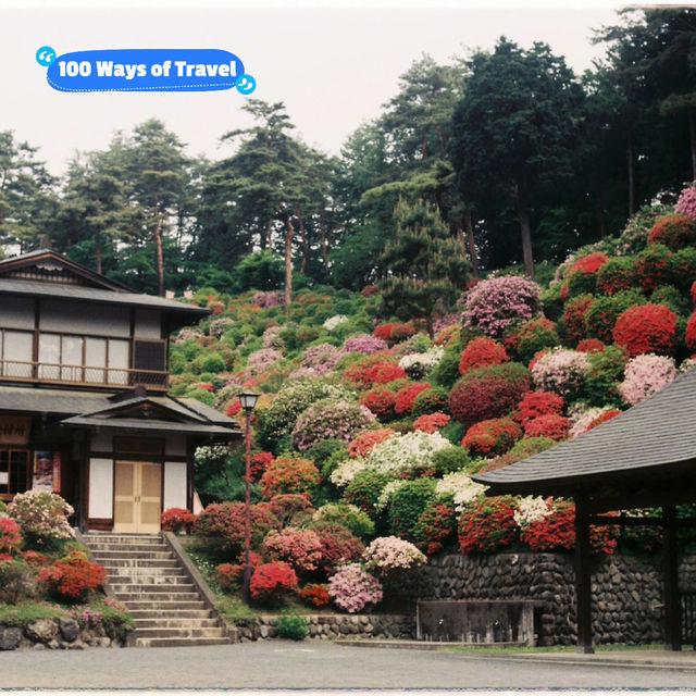 Shiofune Kannon Azalea Festival: A Spring Escape near Tokyo