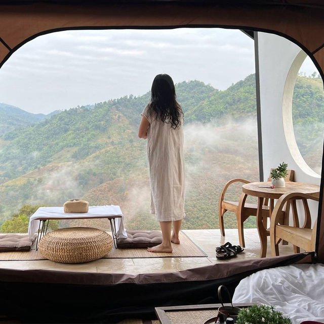 เต็นท์สุดหรูกลางไร่ชา ⛺️ 