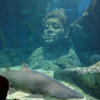Sea Life Bangkok Ocean World