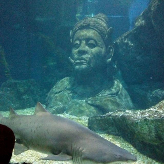 Sea Life Bangkok Ocean World
