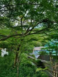 「箱根Pola美術館」：藝術珍品與絕美環境，企業家熱衷收藏分享之作