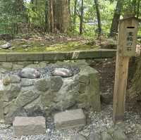 越後一宮　彌彦神社