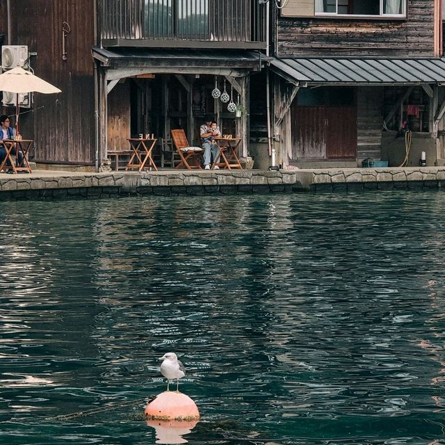 INE KYOTO🇯🇵
