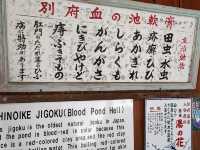 【大分】別府温泉♨️色とりどりの地獄めぐりは天国なのかもしれない