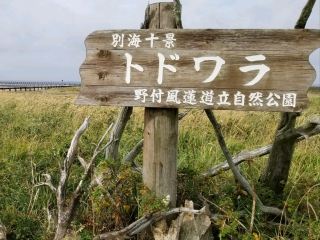 【北海道】彷彿世界盡頭的「椴木原」