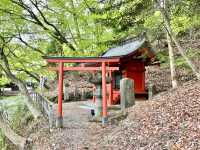 【栃木県】日光山最古の社で参拝