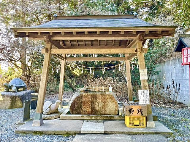 【栃木県】亀だらけの神社
