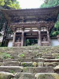 【滋賀】お城巡り