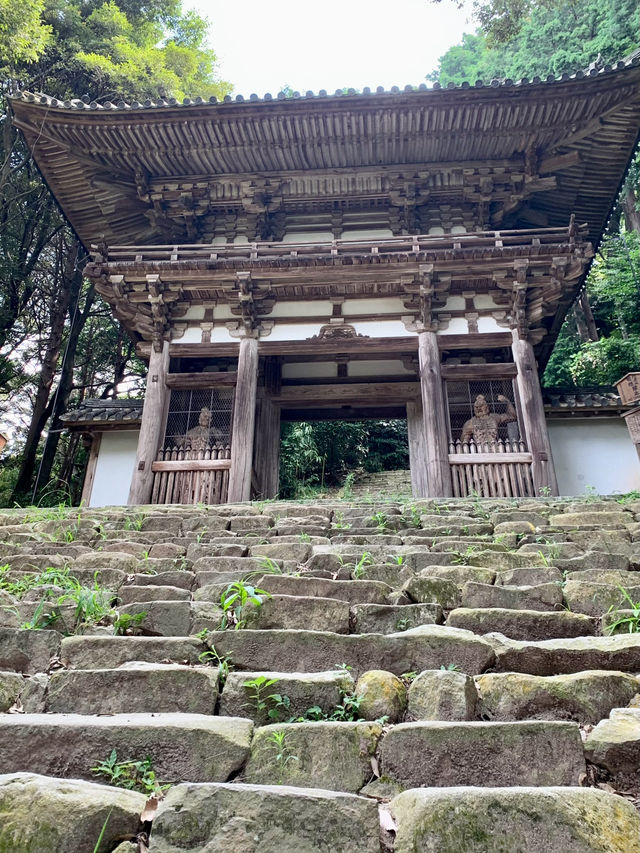 【滋賀】お城巡り