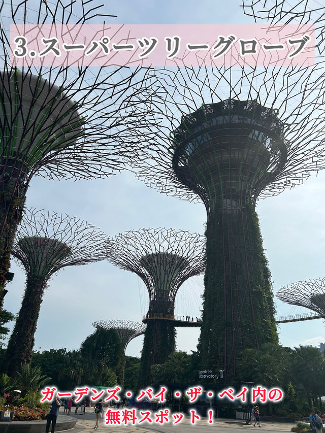 【シンガポール🇸🇬】マリーナベイエリアで絶対行くべき！おすすめスポット6選✨