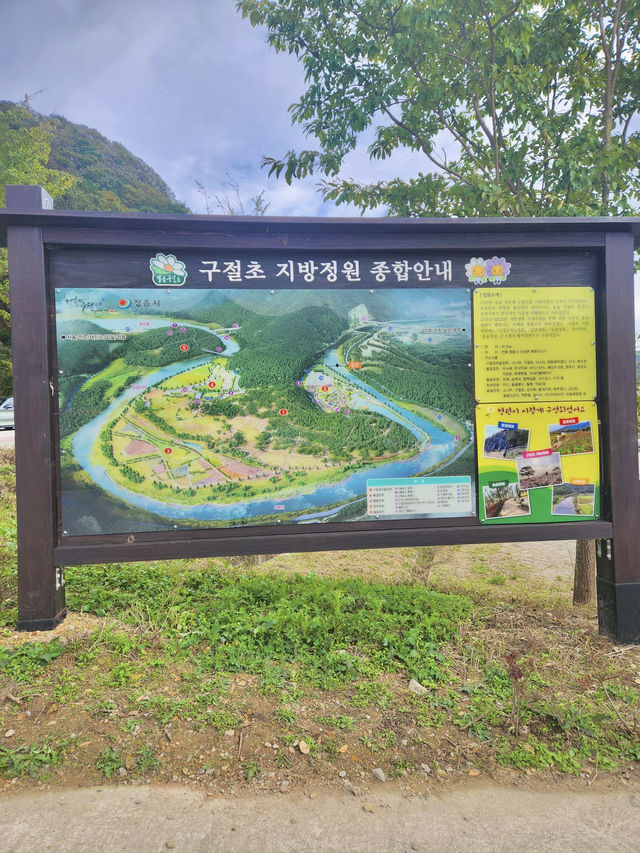 옛날부터 유명했던 정읍 구철초 축제 지방정원😁