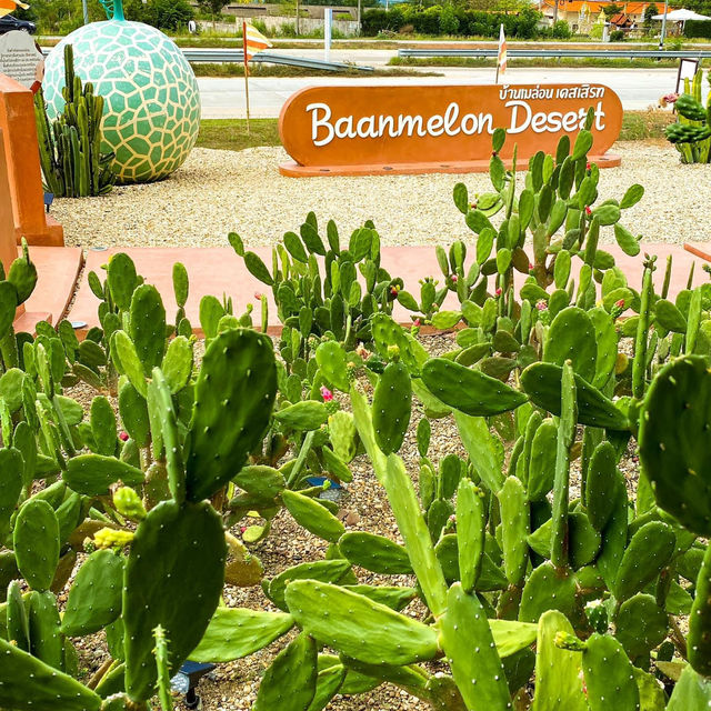Baan Melon Desert 