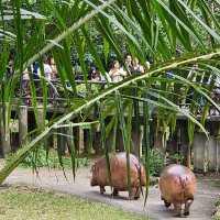 ที่เที่ยวครอบครัว   สวนสัตว์เปิดเขาเขียว  ชลบุรี