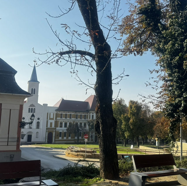 “Exploring Southern Hungary: A Stop in Pécs”