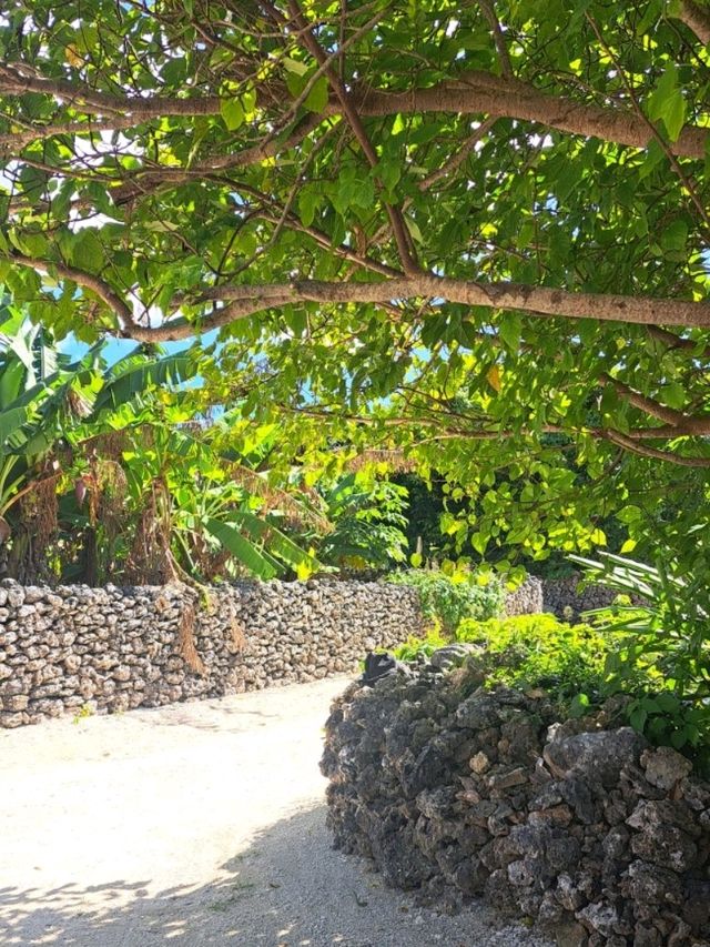 【安里屋クヤマ生誕の地:竹富島】竹富島らしい素敵な風景が広がっている場所✨