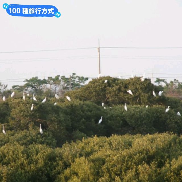 台南賞夕陽的秘境步道-安平湖濱水鳥公園