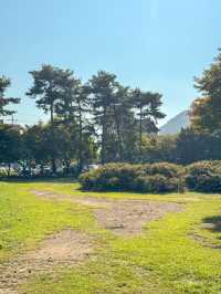 역사를 둘러 보는 공원 ’반죽동 당간지주‘