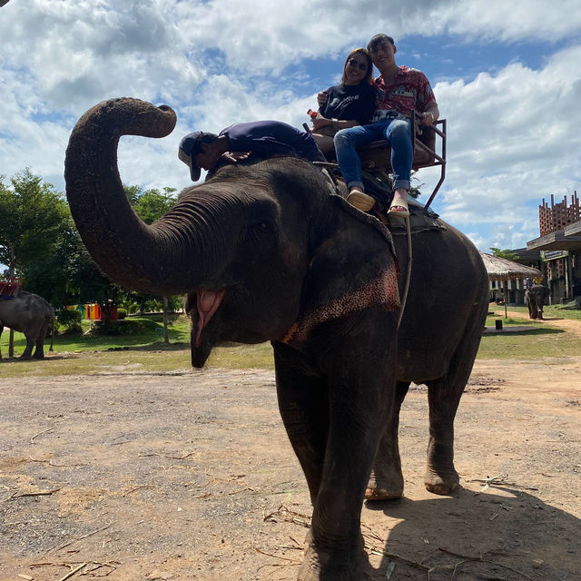 Elephant world