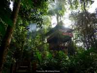 ที่ราบสูงโบลาเวน