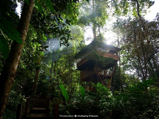 ที่ราบสูงโบลาเวน