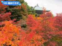 日本三景-宮島的漫山楓紅與海上鳥居
