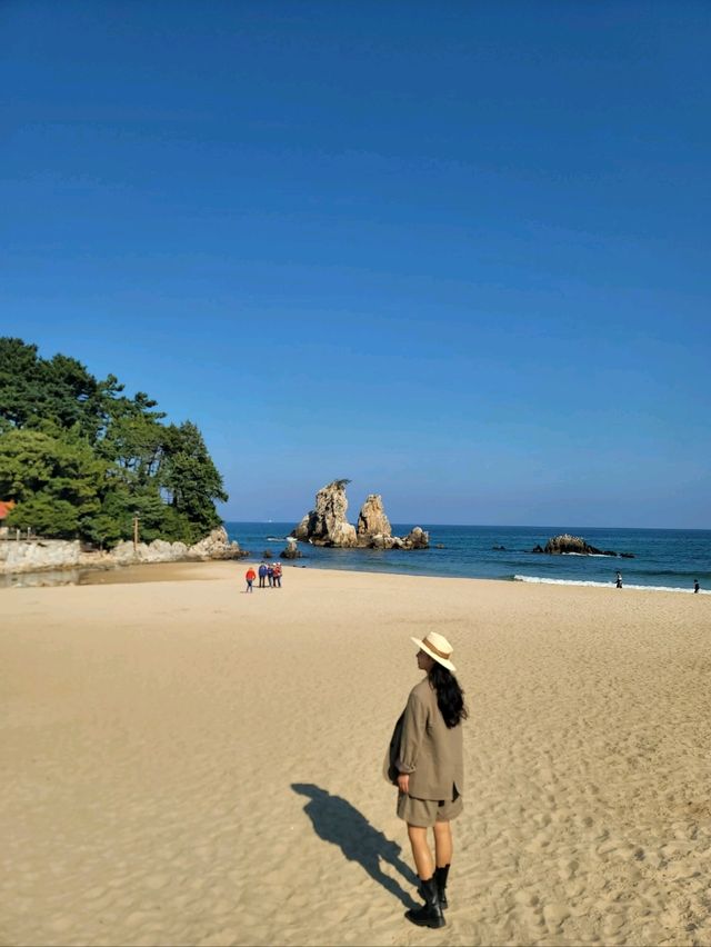 동해바다 촛대바위뷰가 멋진 추암해변🩵