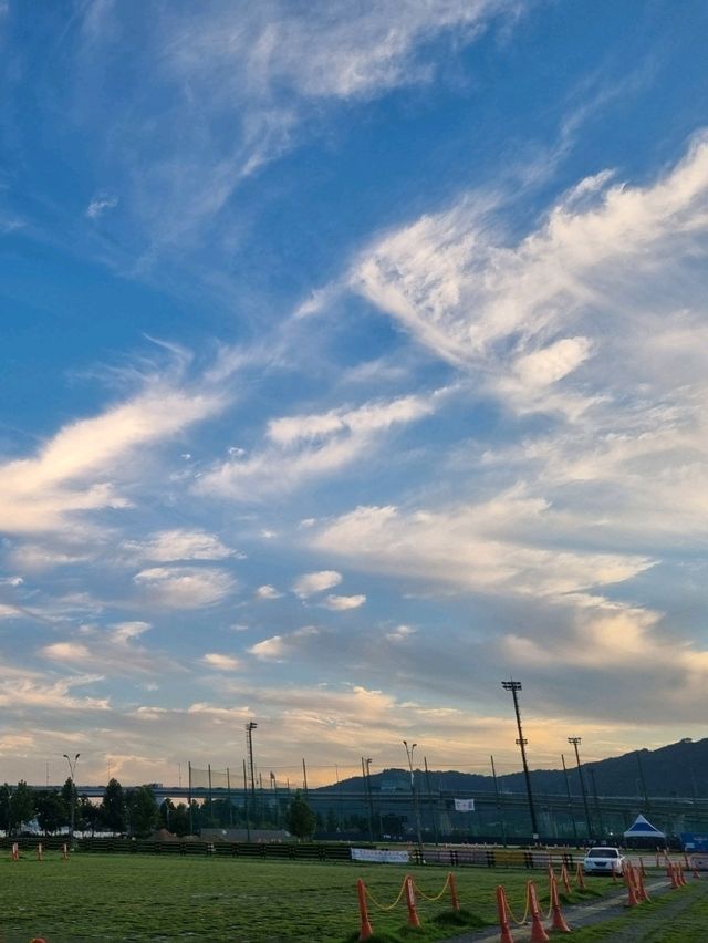 가을을 핑크빛으로 물들인 코스모스🌸🌸