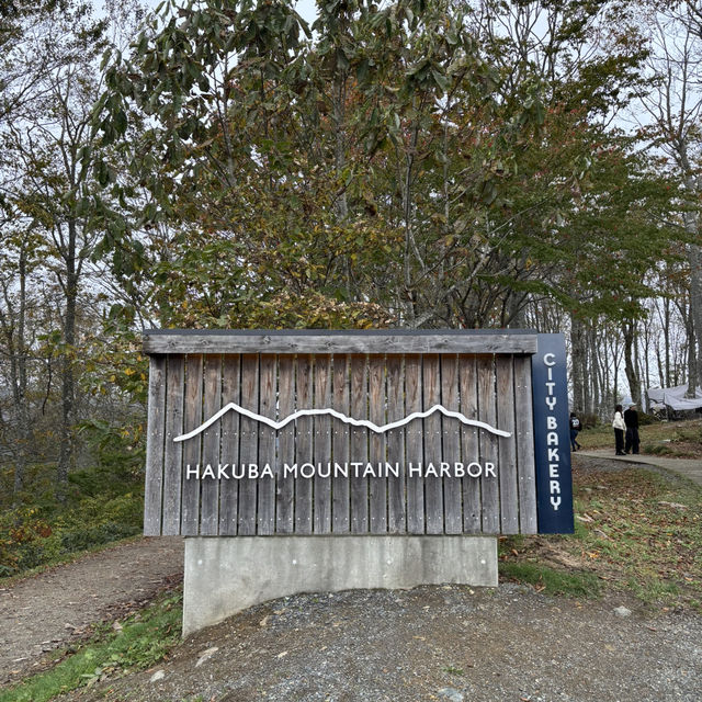 白馬行くならここは絶対！山頂の景色とアクティビティが最高♡