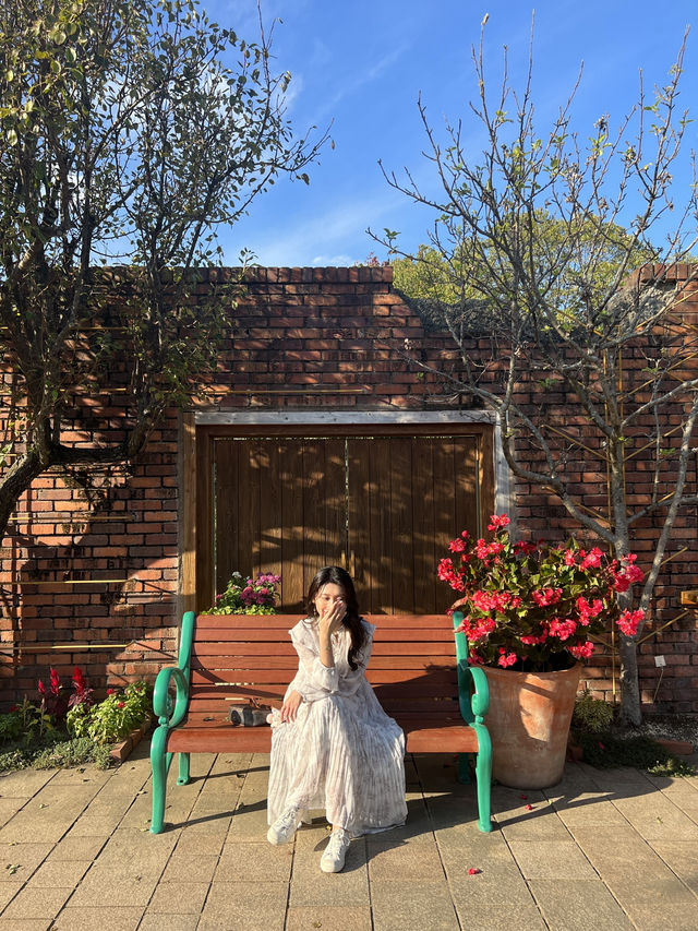 🍂福岡賞花賞銀杏必去的公園！