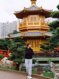 Nan Lian Garden สวนจีนโบราณในฮ่องกง