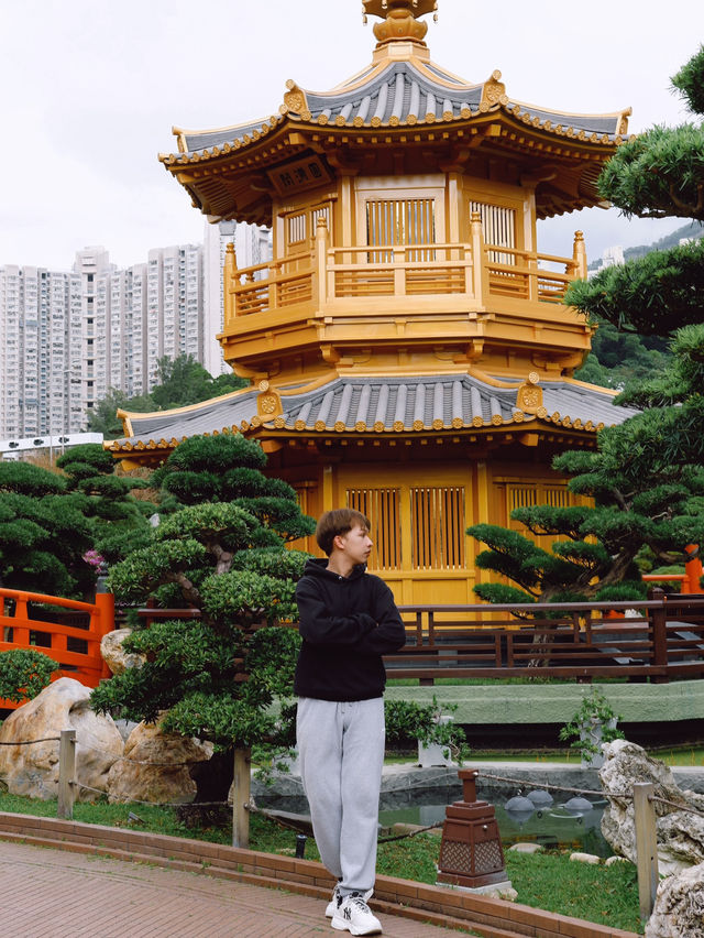 Nan Lian Garden สวนจีนโบราณในฮ่องกง