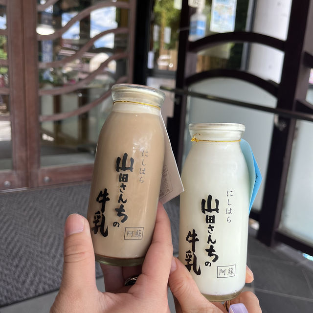 熊本阿蘇、高千穂2日間のカジュアル旅