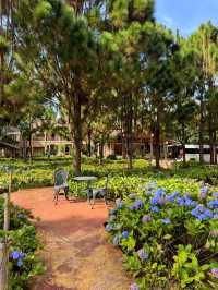 Sabaidee Valley พักรีสอร์ตท่ามกลางธรรมชาติที่ลาวใต้
