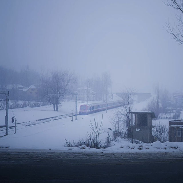 Winter in Jammu and Kashmir: A Snowy Stroll