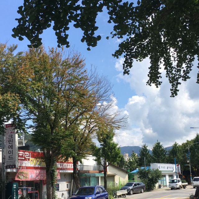화천 가볼만한 곳 추천👍🏻