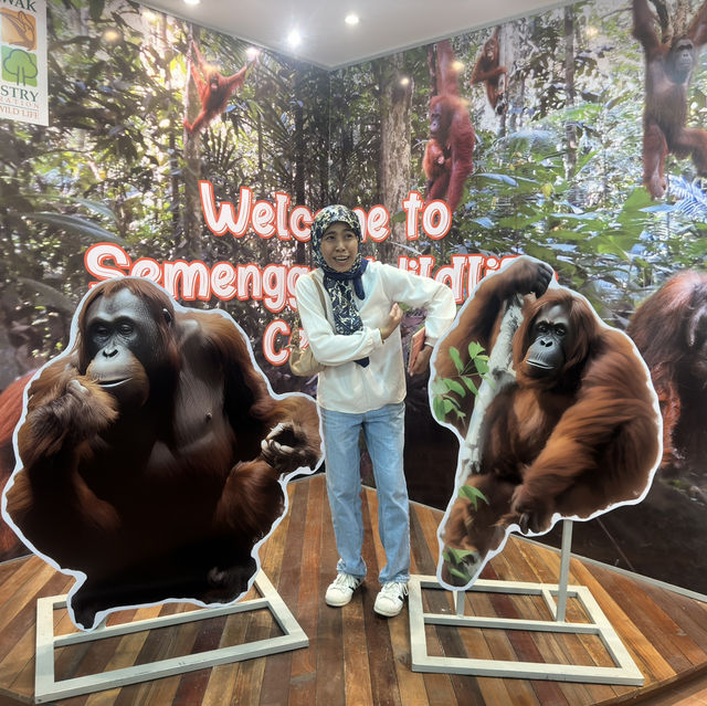 Spectacular Orang Utan 😍