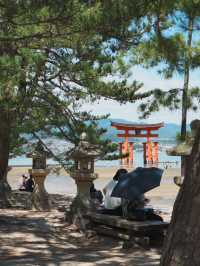 【広島観光】厳島神社のシンボル「大鳥居」⛩️