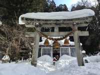 【岐阜県・白川】世界遺産 x 雪景色⛄️