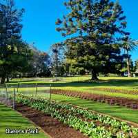 호주 투움바 Queens Park🇦🇺