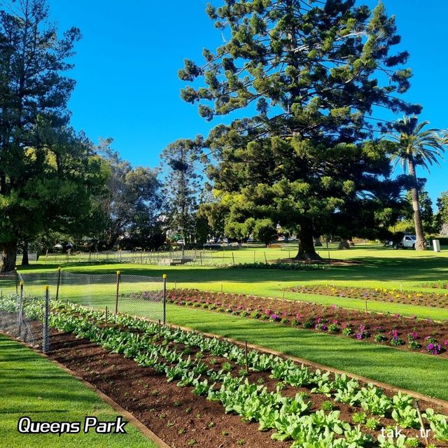 호주 투움바 Queens Park🇦🇺