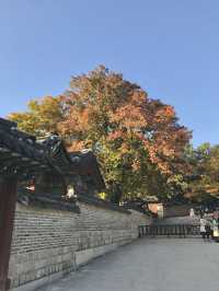 🇰🇷首爾紅葉 🍁市中心也有這麼漂亮的地方？🍂來這裡就夠！