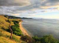 Komodo island - actual home of dragons 