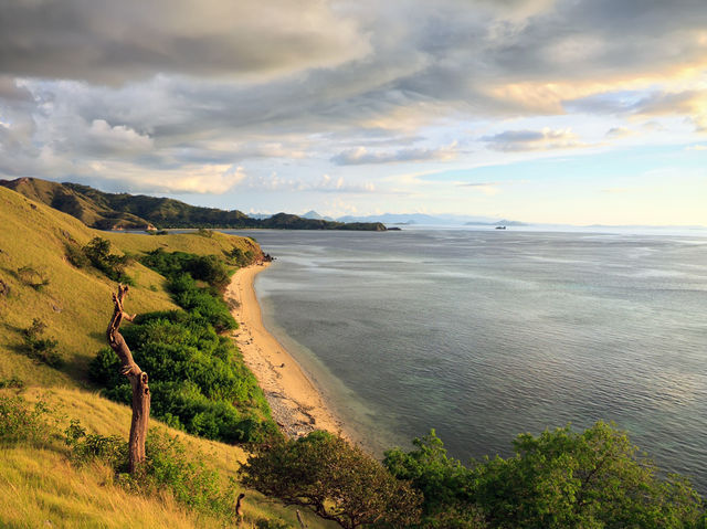 Komodo island - actual home of dragons 