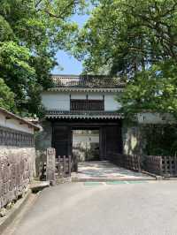 【宮崎　おでかけ記録】